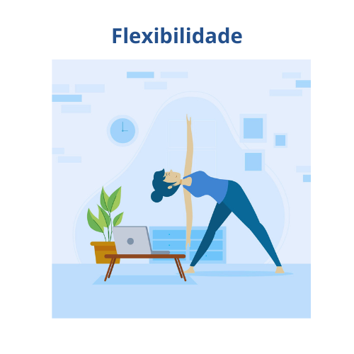 Flexibilidade